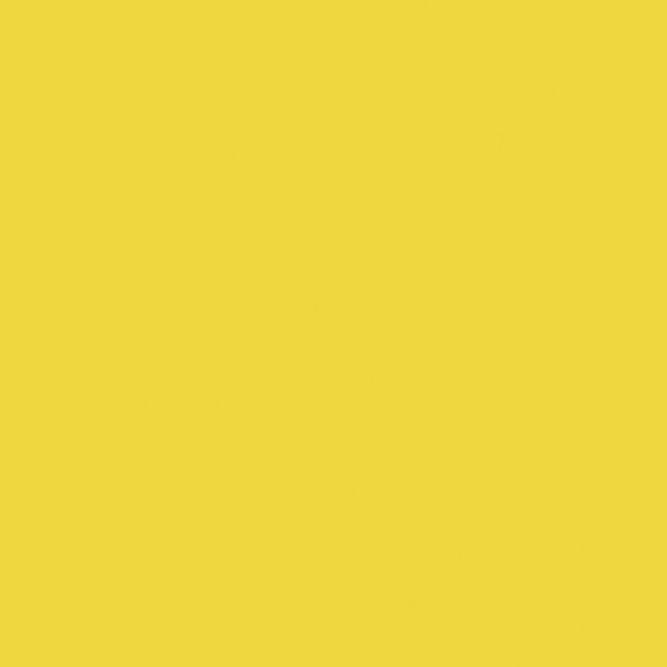 0455_lemon_peel_2