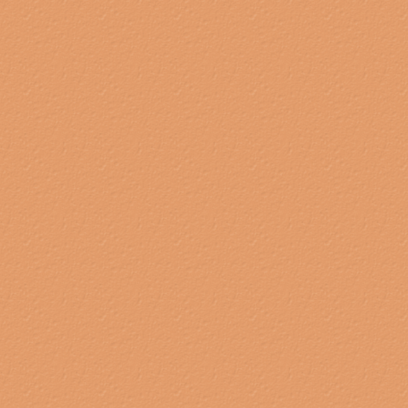 k0823_salmon_uitsnede (1)