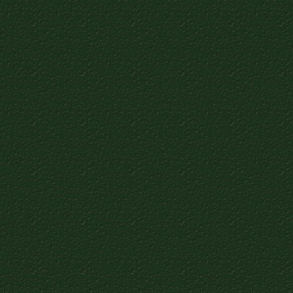 k3481_forestgreen_uitsnede (1)